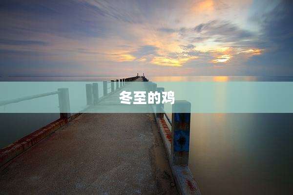 冬至的鸡
