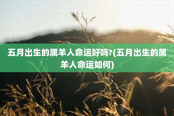 五月出生的属羊人命运好吗?(五月出生的属羊人命运如何)