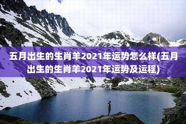 五月出生的生肖羊2021年运势怎么样(五月出生的生肖羊2021年运势及运程)