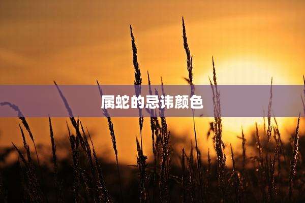 属蛇的忌讳颜色