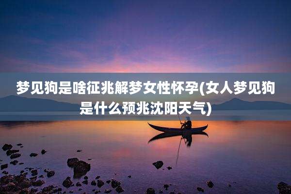 梦见狗是啥征兆解梦女性怀孕(女人梦见狗是什么预兆沈阳天气)