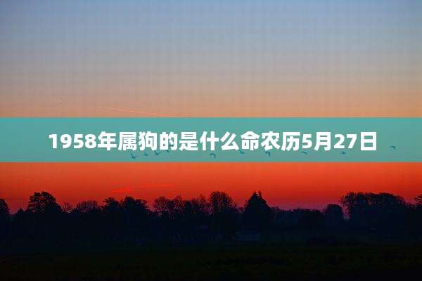 1958年属狗的是什么命农历5月27日