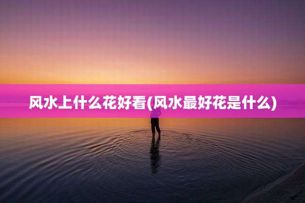 风水上什么花好看(风水最好花是什么)
