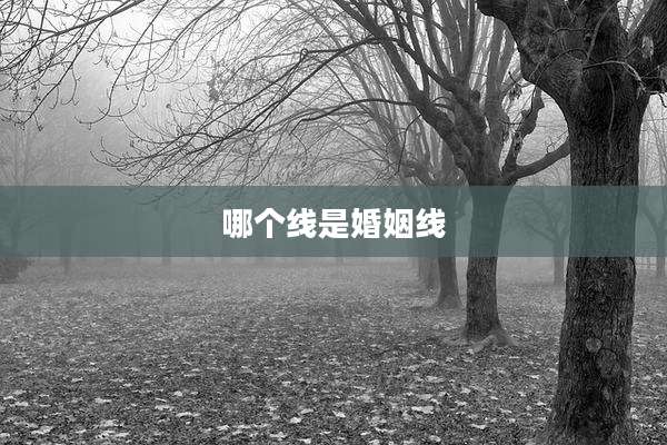 哪个线是婚姻线