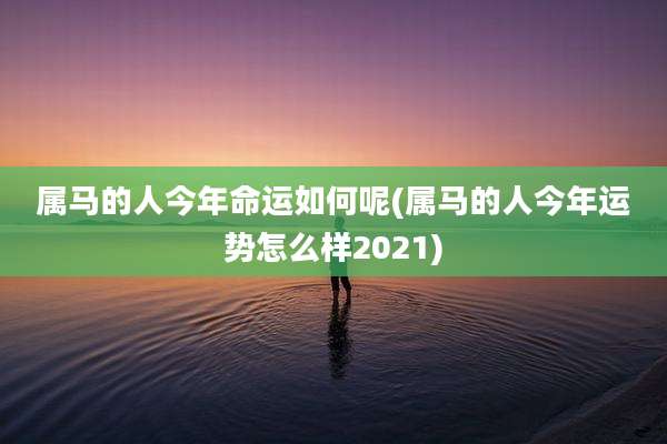 属马的人今年命运如何呢(属马的人今年运势怎么样2021)