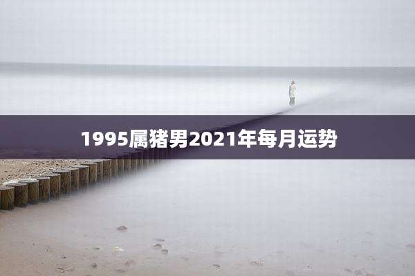 1995属猪男2021年每月运势