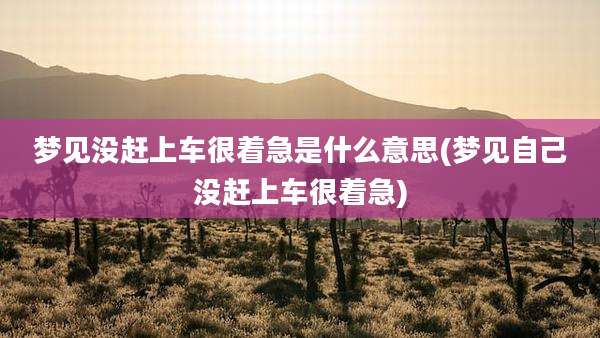 梦见没赶上车很着急是什么意思(梦见自己没赶上车很着急)