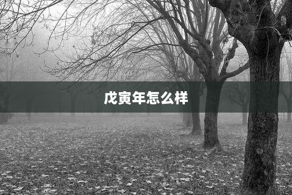 戊寅年怎么样