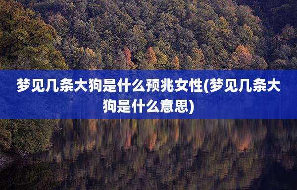 梦见几条大狗是什么预兆女性(梦见几条大狗是什么意思)