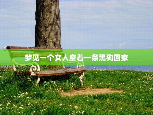 梦见一个女人牵着一条黑狗回家