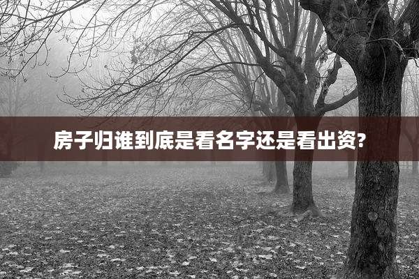 房子归谁到底是看名字还是看出资?