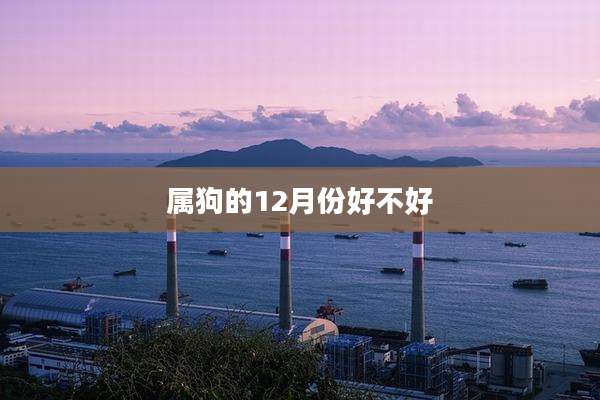 属狗的12月份好不好