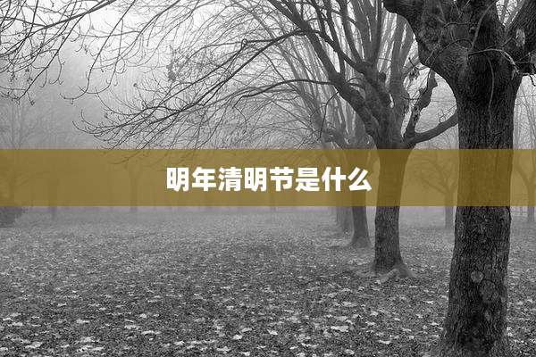 明年清明节是什么