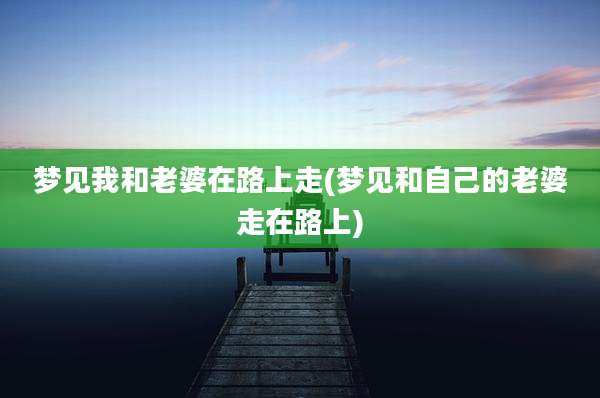 梦见我和老婆在路上走(梦见和自己的老婆走在路上)