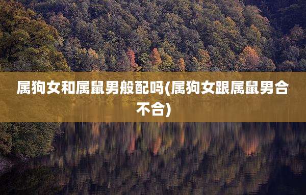 属狗女和属鼠男般配吗(属狗女跟属鼠男合不合)