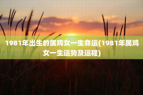1981年出生的属鸡女一生命运(1981年属鸡女一生运势及运程)