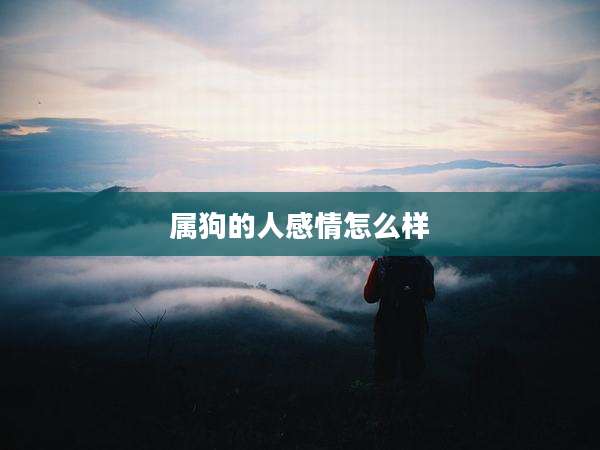 属狗的人感情怎么样
