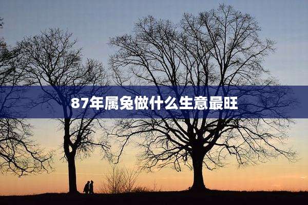 87年属兔做什么生意最旺