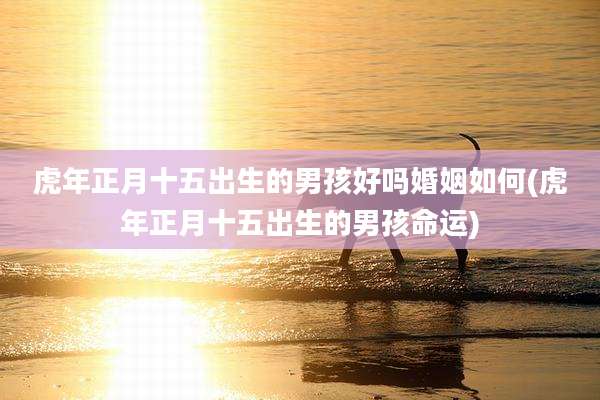 虎年正月十五出生的男孩好吗婚姻如何(虎年正月十五出生的男孩命运)