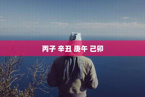 丙子 辛丑 庚午 己卯