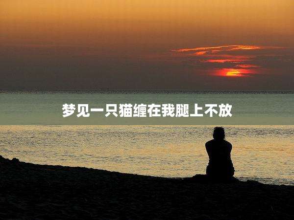 梦见一只猫缠在我腿上不放