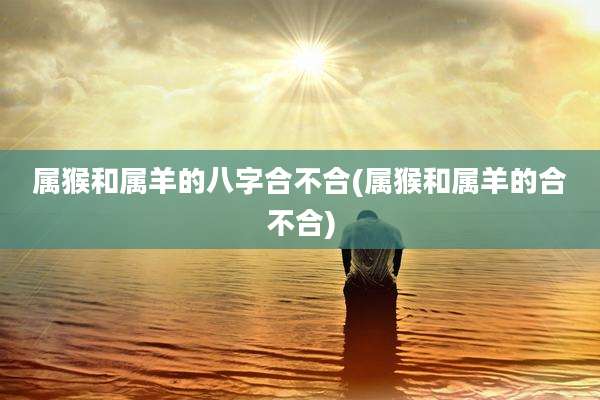 属猴和属羊的八字合不合(属猴和属羊的合不合)