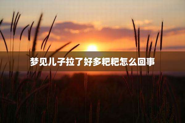 梦见儿子拉了好多粑粑怎么回事