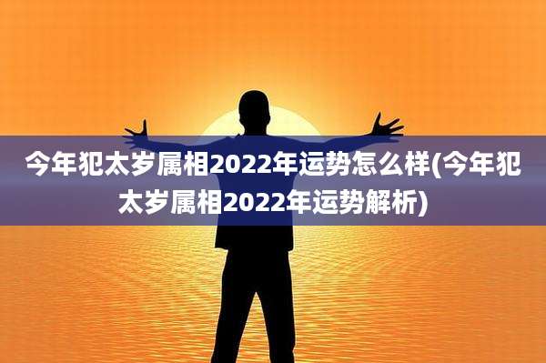今年犯太岁属相2022年运势怎么样(今年犯太岁属相2022年运势解析)