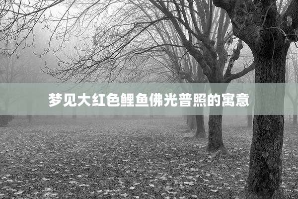 梦见大红色鲤鱼佛光普照的寓意