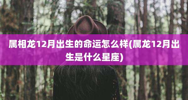 属相龙12月出生的命运怎么样(属龙12月出生是什么星座)
