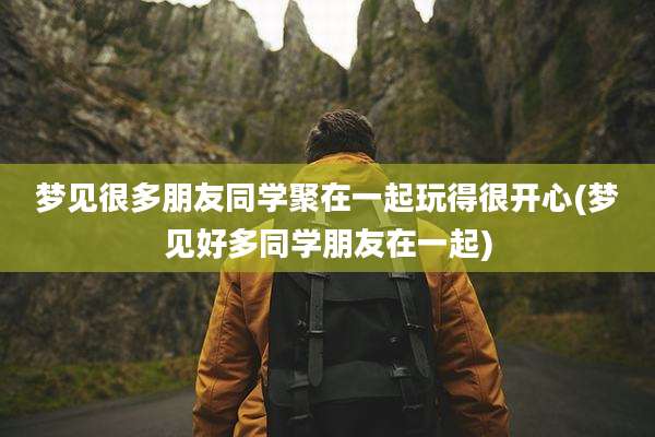 梦见很多朋友同学聚在一起玩得很开心(梦见好多同学朋友在一起)