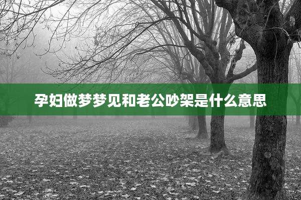 孕妇做梦梦见和老公吵架是什么意思