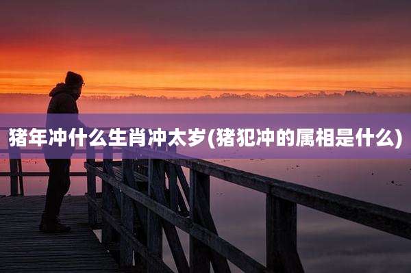 猪年冲什么生肖冲太岁(猪犯冲的属相是什么)