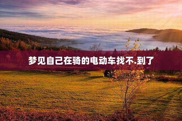 梦见自己在骑的电动车找不.到了