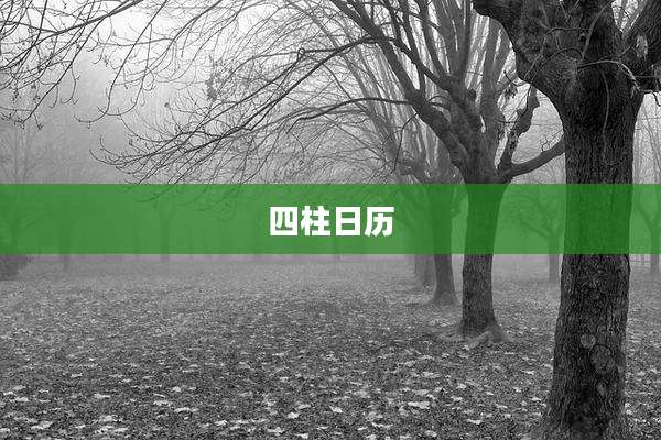 四柱日历