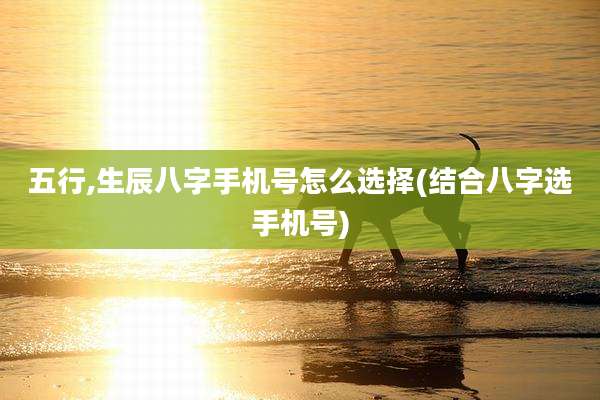 五行,生辰八字手机号怎么选择(结合八字选手机号)