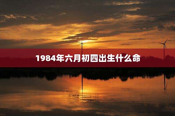 1984年六月初四出生什么命