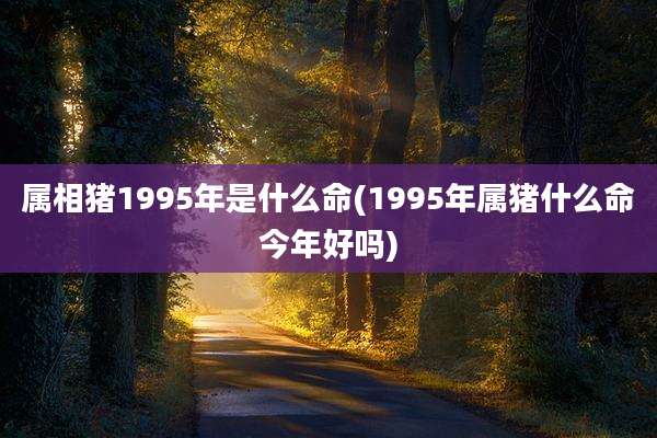 属相猪1995年是什么命(1995年属猪什么命今年好吗)
