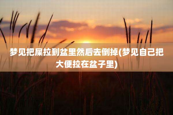 梦见把屎拉到盆里然后去倒掉(梦见自己把大便拉在盆子里)