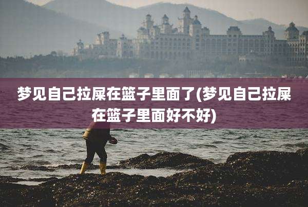 梦见自己拉屎在篮子里面了(梦见自己拉屎在篮子里面好不好)