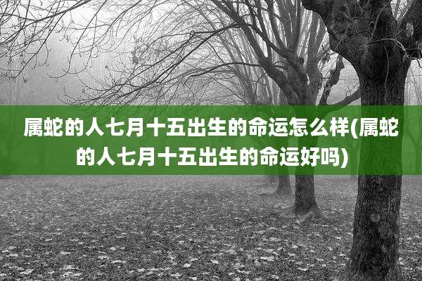 属蛇的人七月十五出生的命运怎么样(属蛇的人七月十五出生的命运好吗)
