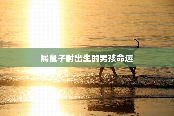 属鼠子时出生的男孩命运