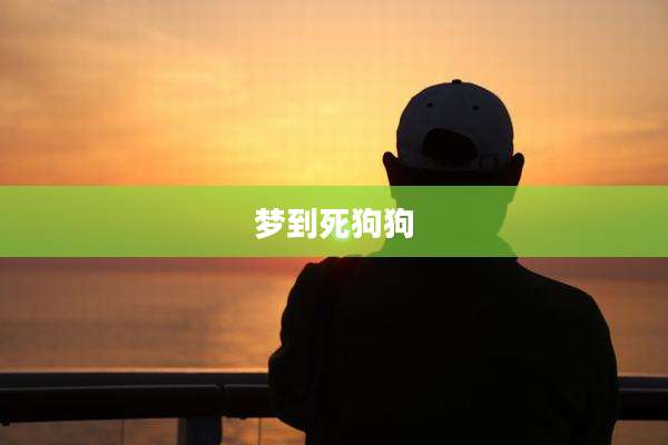 梦到死狗狗