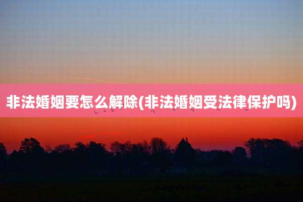 非法婚姻要怎么解除(非法婚姻受法律保护吗)