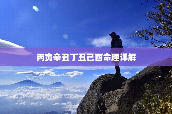 丙寅辛丑丁丑已酉命理详解
