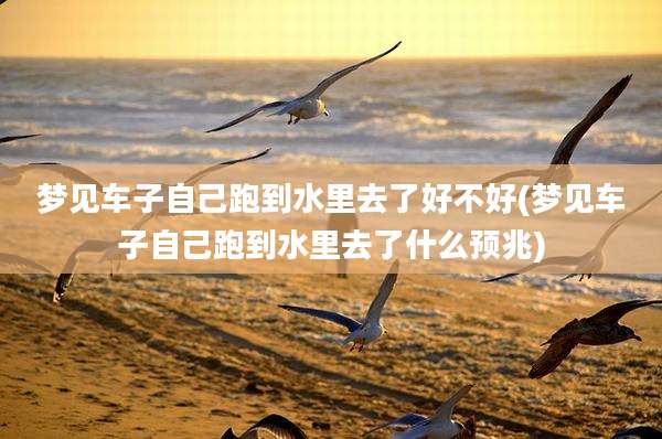 梦见车子自己跑到水里去了好不好(梦见车子自己跑到水里去了什么预兆)