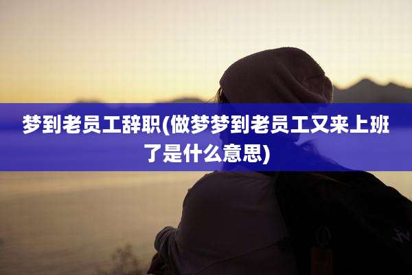 梦到老员工辞职(做梦梦到老员工又来上班了是什么意思)