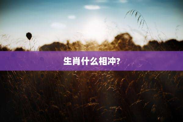 生肖什么相冲?