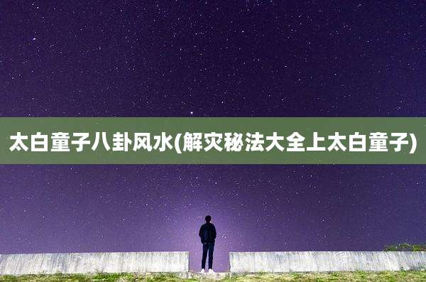 太白童子八卦风水(解灾秘法大全上太白童子)