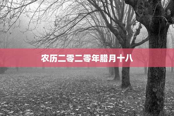 农历二零二零年腊月十八
